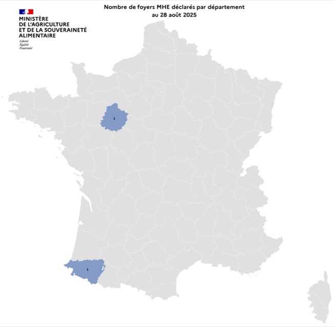 Nombre de foyers MHE déclarés par département au 28 août 2025