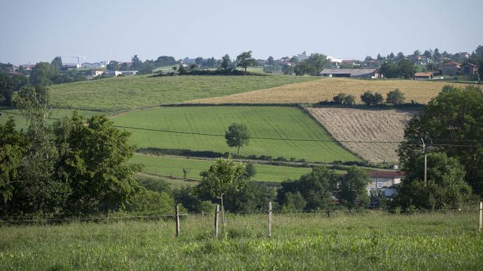 Image d'illustration d'un paysage agricole.